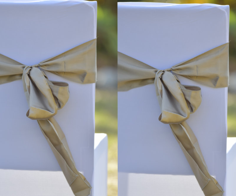 champagne sash for chairs